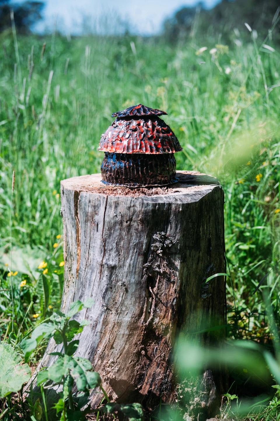 A ceramic sculpture on a tree trunk in a rural lanscape